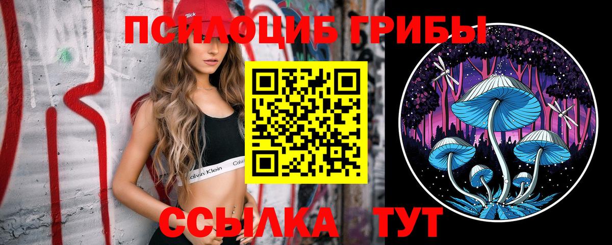 Псилоцибиновые грибы Psilocybe Дивногорск