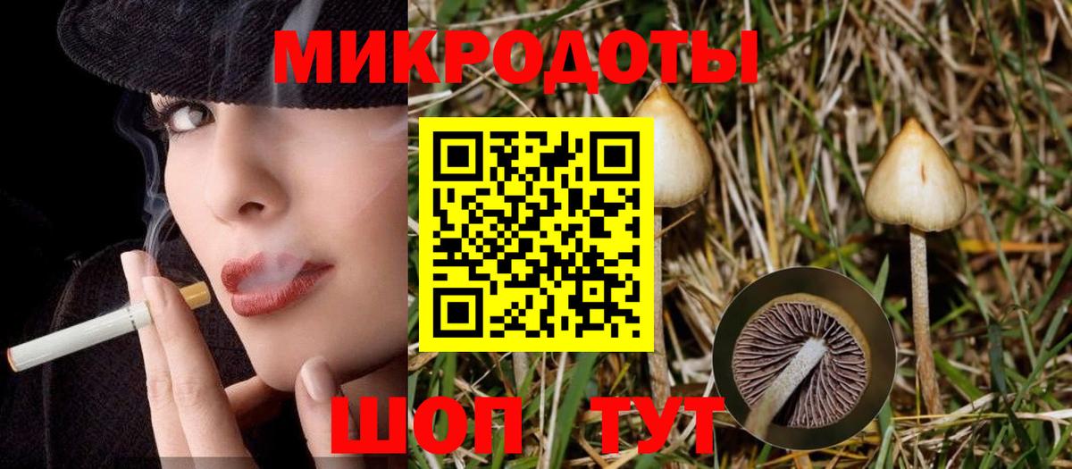 Дивногорск  Псилоцибиновые грибы Psilocybine cubensis  Вход с VPN 